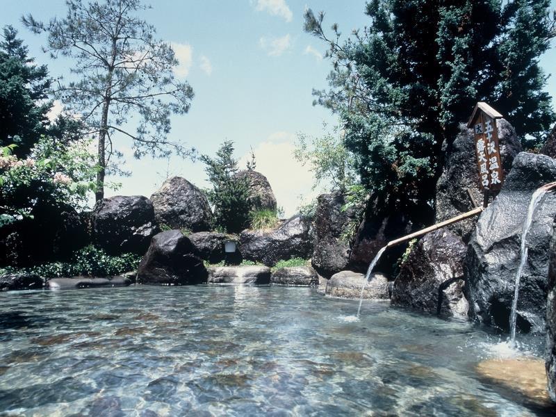Ryokan Ikazawa Onsen Yumotokan Minamiuonuma Exteriör bild